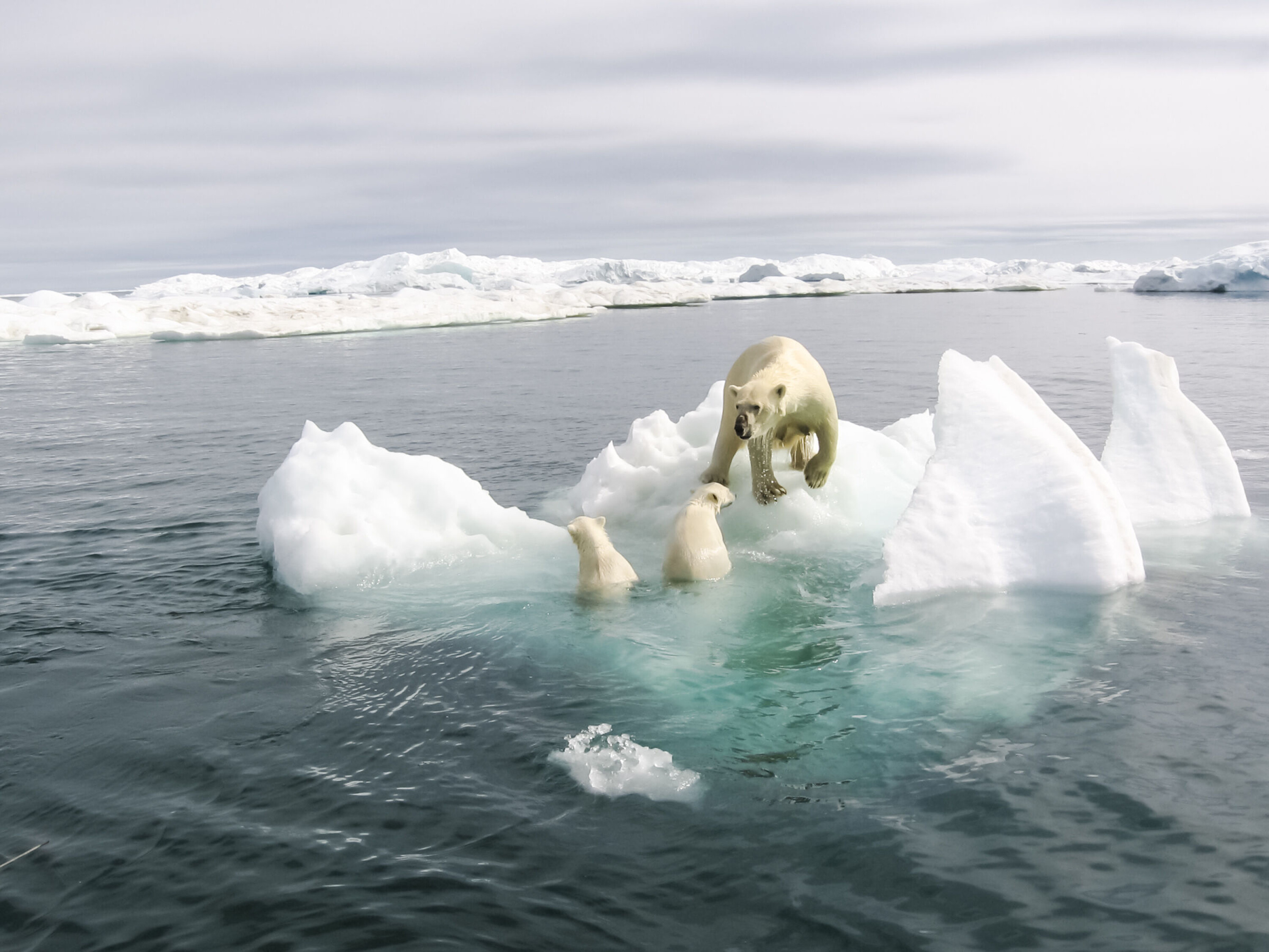 REKORDLITE IS: Iskanten ligger uvanlig langt nord for Svalbard i forhold til normalen og det er svært uvanlig med stort sett isfrie forhold rundt Svalbard i februar, ifølge Meteorologisk Institutt. REKORDLITE IS: Iskanten ligger uvanlig langt nord for Svalbard i forhold til normalen og det er svært uvanlig med stort sett isfrie forhold rundt Svalbard i februar, ifølge Meteorologisk Institutt.