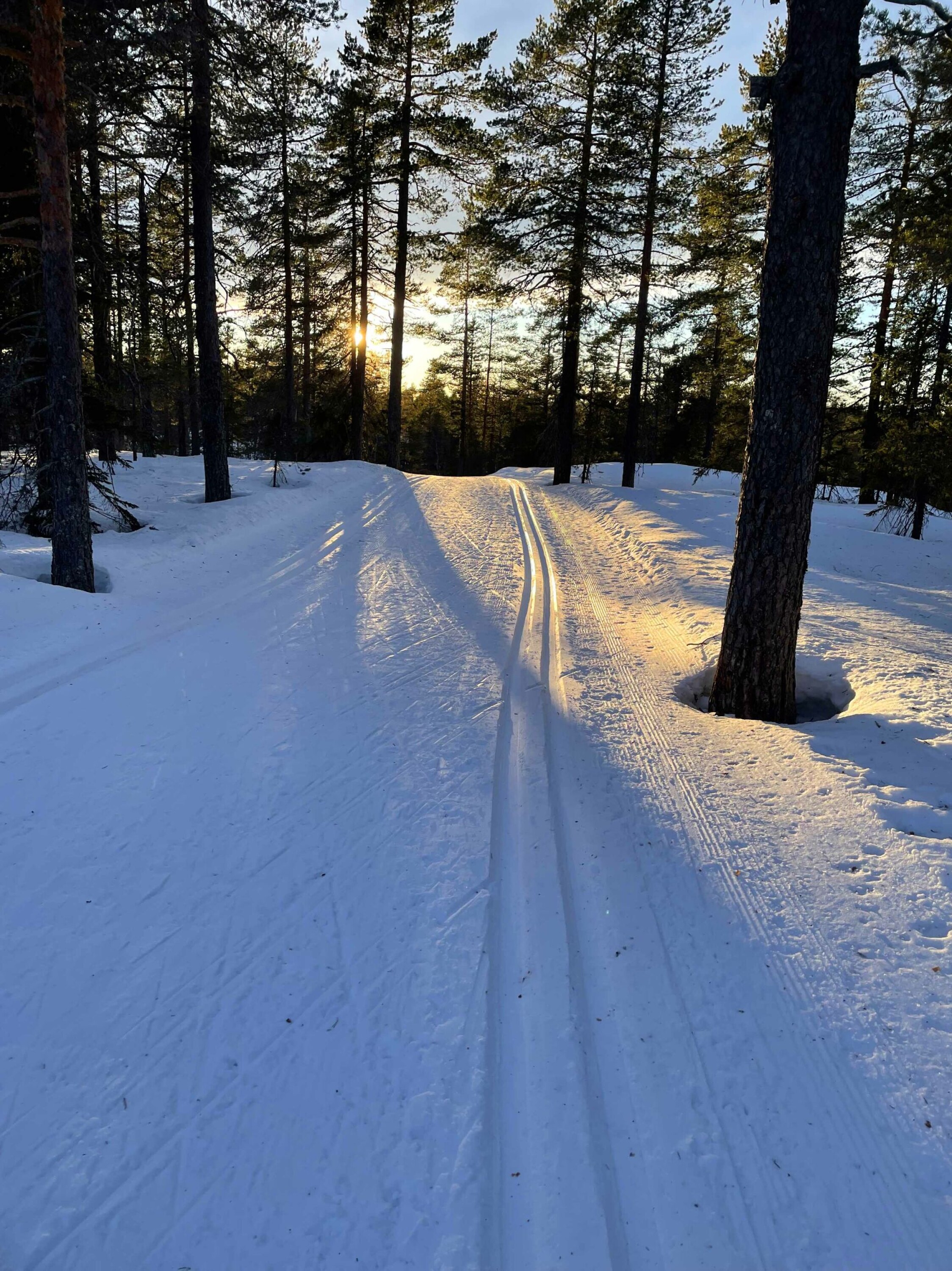Fristende skispor i Tverråsrunden. Fristende skispor i Tverråsrunden.