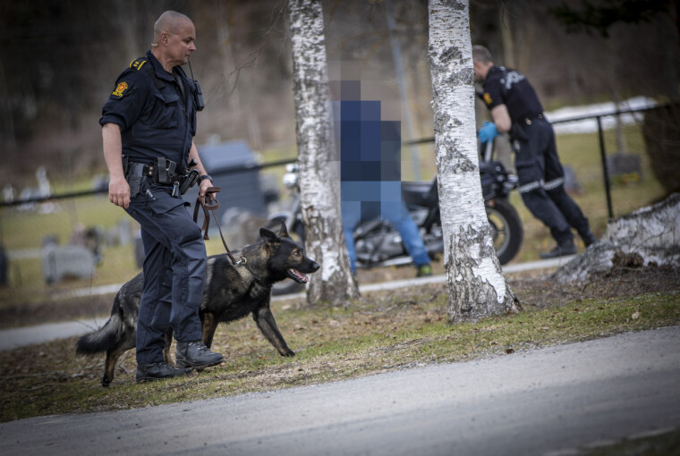 HUNDESØK: Politiets hundepatrulje søkte i området med to hunder.