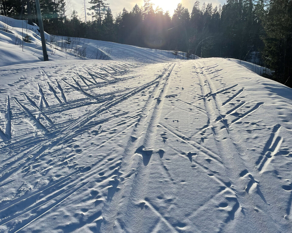 NYSNØ I SKISPORET: Her fra worldcup-løypa på Konnerud i starten av påsken.