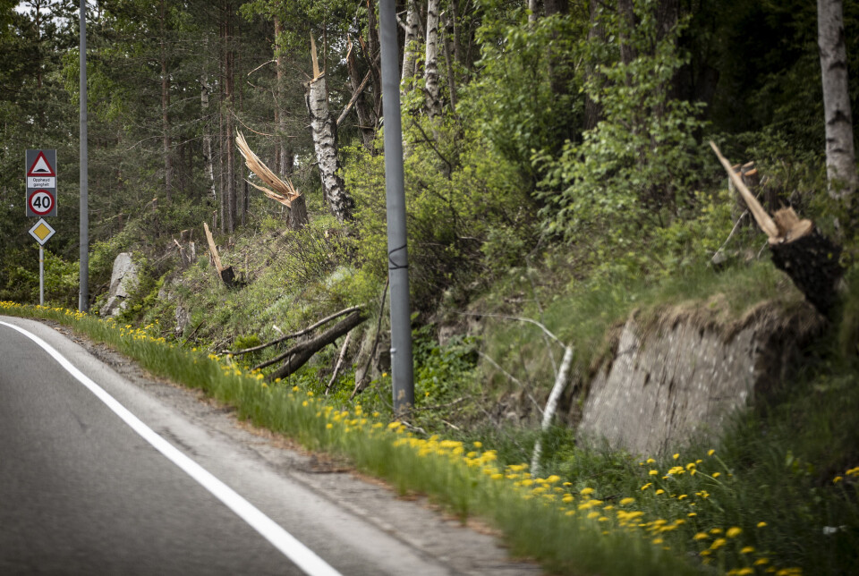 IKKE SPESIELT VELFRISERT: Slik ser det ut langs store deler av blant annet Konnerudgata.