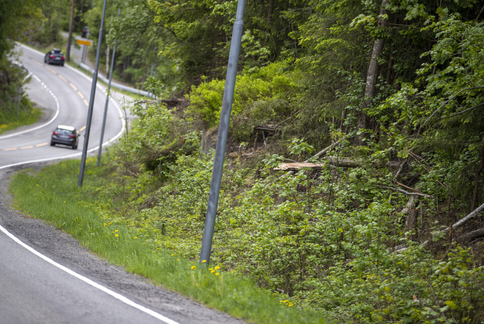 Reagerer på brutal kapping langs veiene: - Ser ut som en krigssone