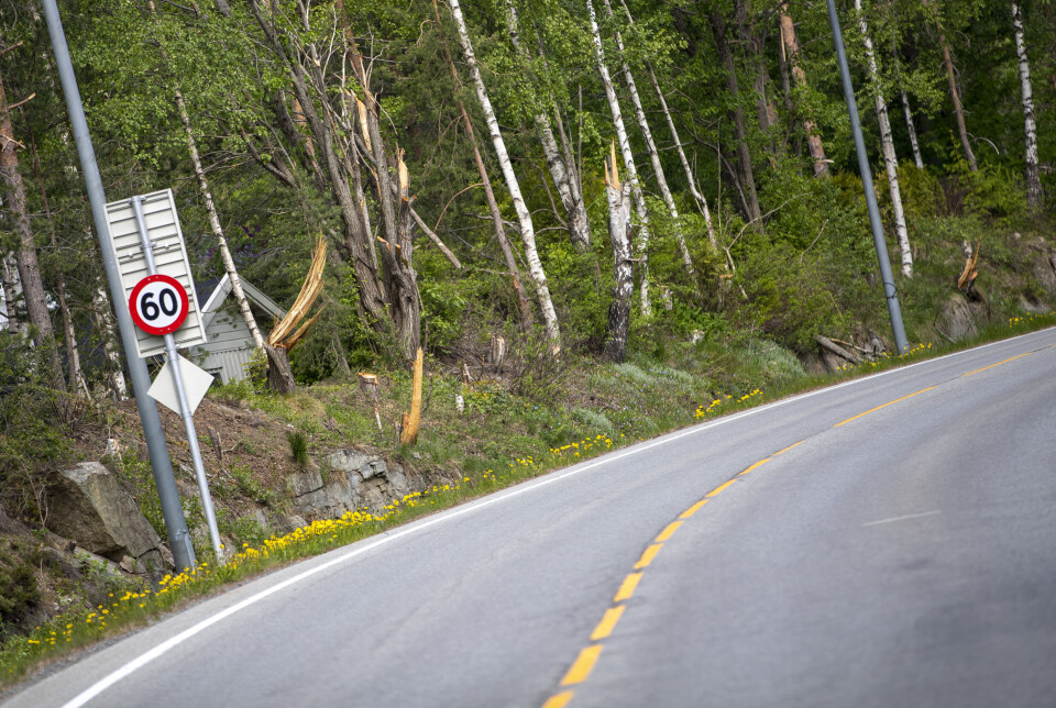 Reagerer på brutal kapping langs veiene: - Ser ut som en krigssone