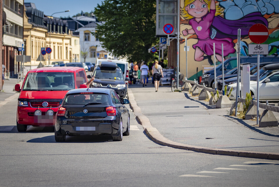 HYTTING MED NEVEN: Her fra tidligere i sommer da to bilister møttes på den aktuelle strekningen. Bildet er altså ikke fra episoden omtalt under.