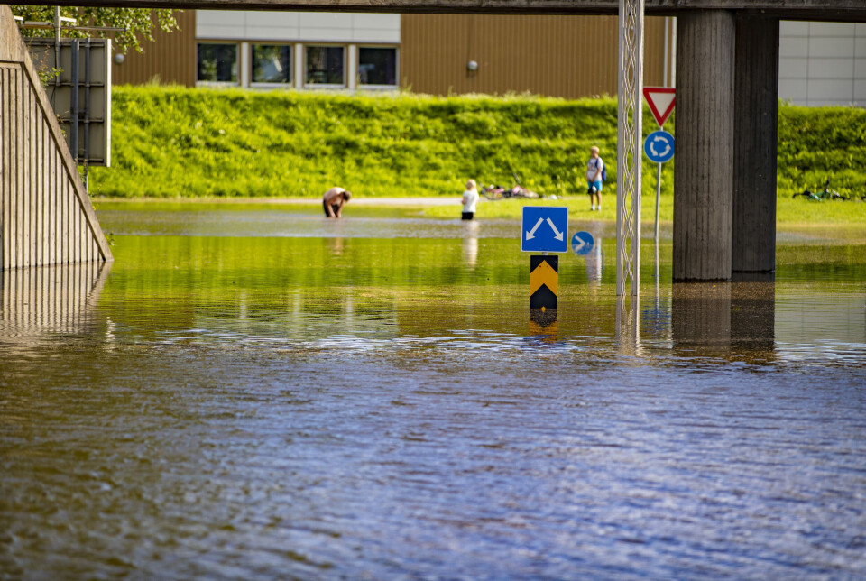 SJØMERKER NESTE: Trolig er båtførerprøven best egnet til å navigere i dette farvannet. SJØMERKER NESTE: Trolig er båtførerprøven best egnet til å navigere i dette farvannet.