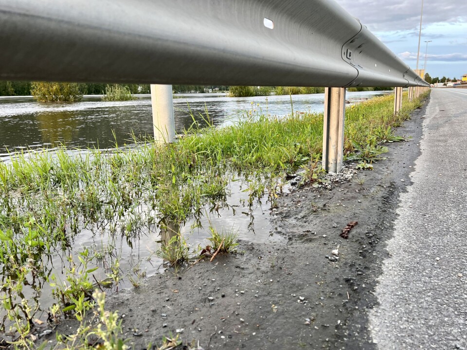 HÅRFINT: Asfaltkanten her ble akkurat våt med et flomnivå på 3,24 meter ved Mjøndalsbrua. Her har vannet gått noe ned igjen og var på ca. 3,18 meter. HÅRFINT: Asfaltkanten her ble akkurat våt med et flomnivå på 3,24 meter ved Mjøndalsbrua. Her har vannet gått noe ned igjen og var på ca. 3,18 meter.
