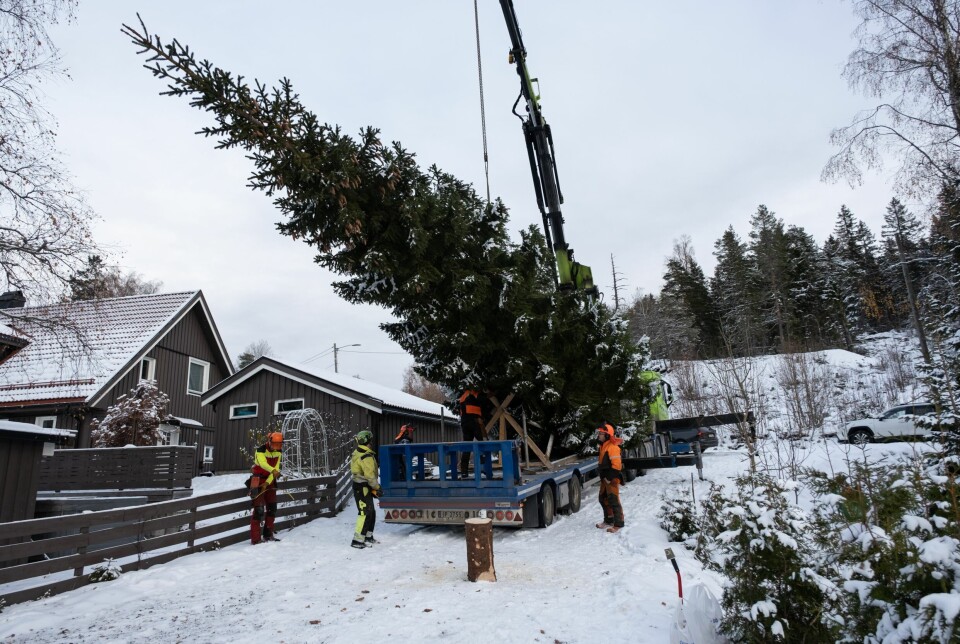 Drammens 59. Kiel-gran felt