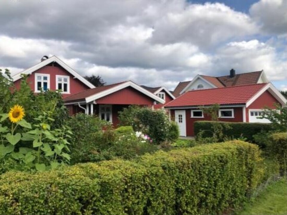 Hedret for hagene