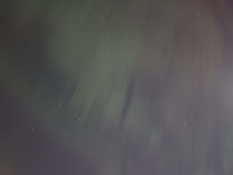 Flott nordlys over Drammen