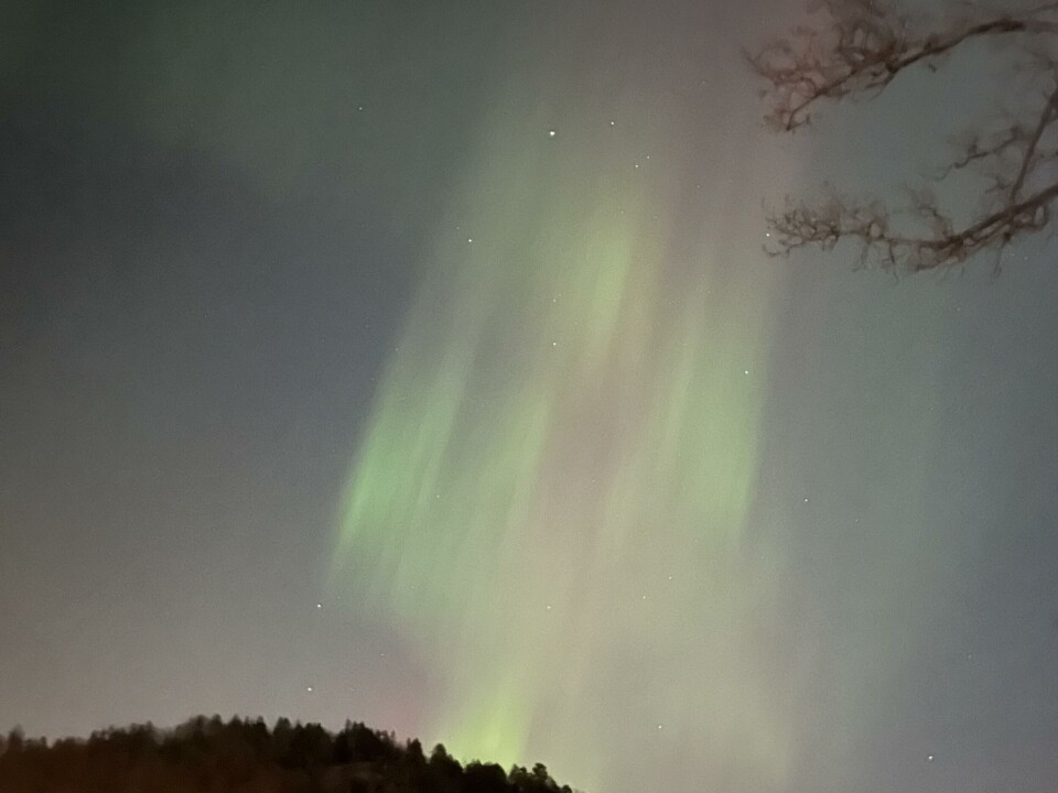 Flott nordlys over Drammen