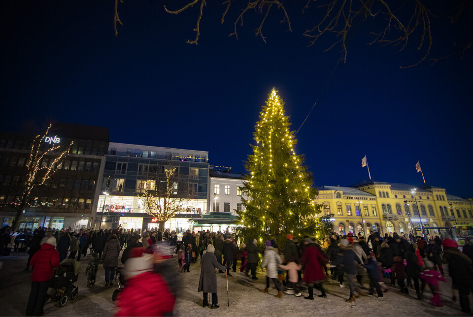 Se hvor og når årets julegraner tennes