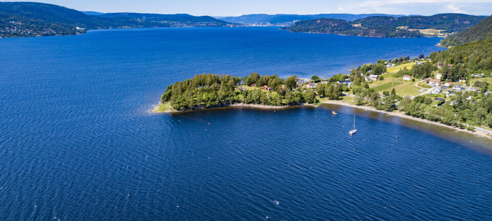 Rapport: Utslipp fra nytt renseanlegg vil gi bedre leveforhold i Drammensfjorden