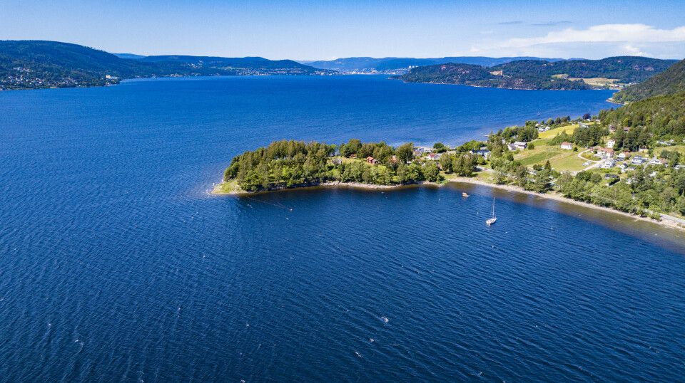 Rapport: Utslipp fra nytt renseanlegg vil gi bedre leveforhold i Drammensfjorden