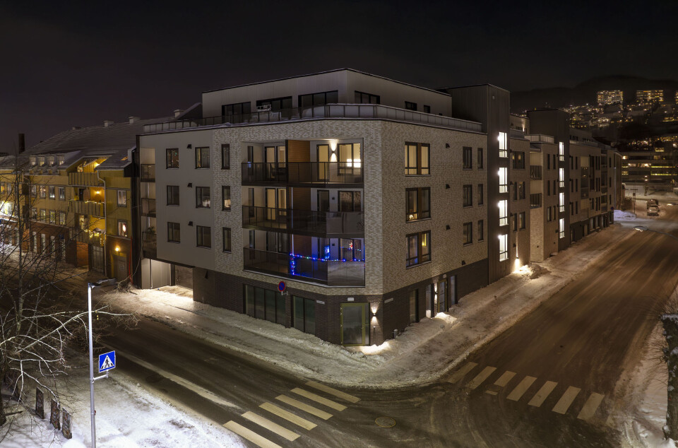 Art Garden i Brandtenborggata, siste tilskudd i byutvikling nå nedre Bragernes.