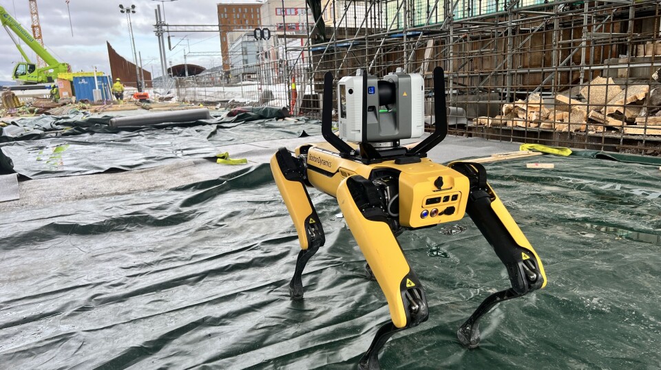 NCCs Spot robothund NiCCi på anleggsområdet ved Drammen stasjon for å gjennomførte test-dataskanninger og inspeksjoner av bygde betongskonstruksjoner.