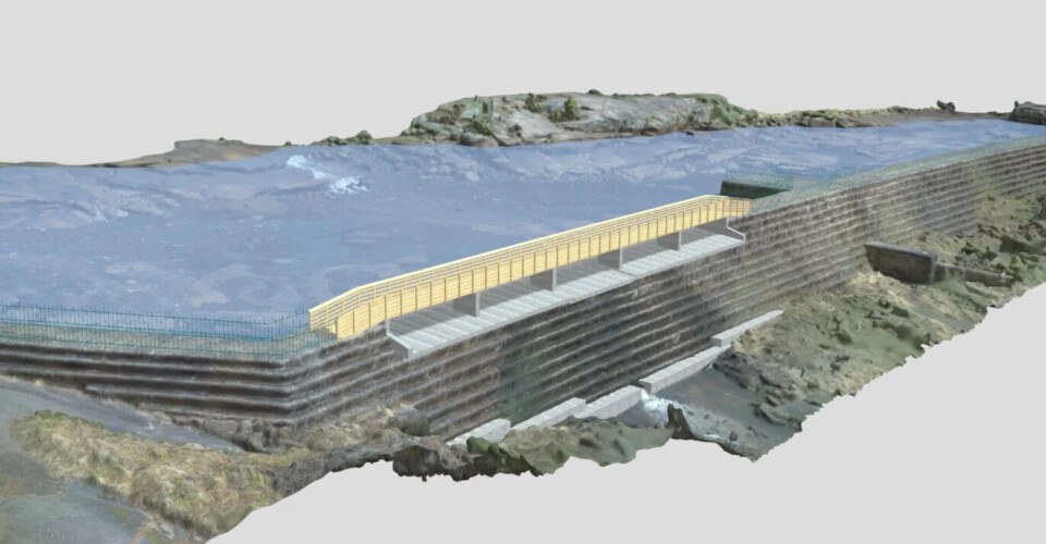 3D- utsnitt som viser dammen Vasshella etter rehabilitering.