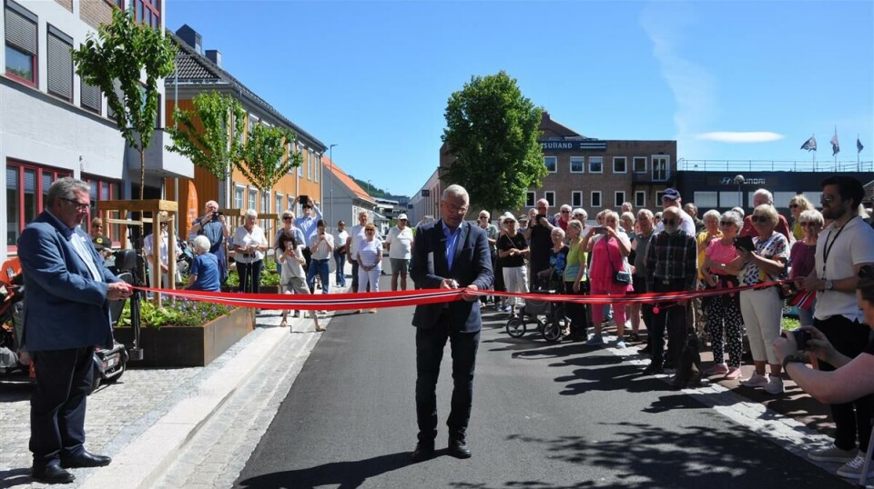 KLIPPET SNORA: Fylkesordfører Tore Opdal Hansen.