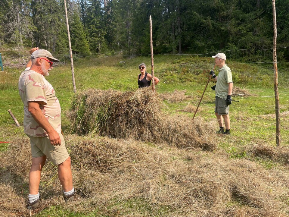 SLÅTT PÅ GAMLEMÅTEN: Fv. ser vi Jan Hordvik, Astrid Busengdal og Dennis Fredriksen.