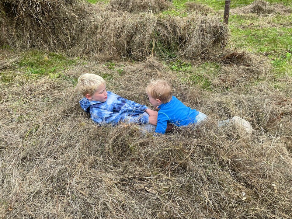 Fetterne Jonas (10) og Oskar (2) syntes det var gøy å leike i det tørre graset på Myresetervollen.