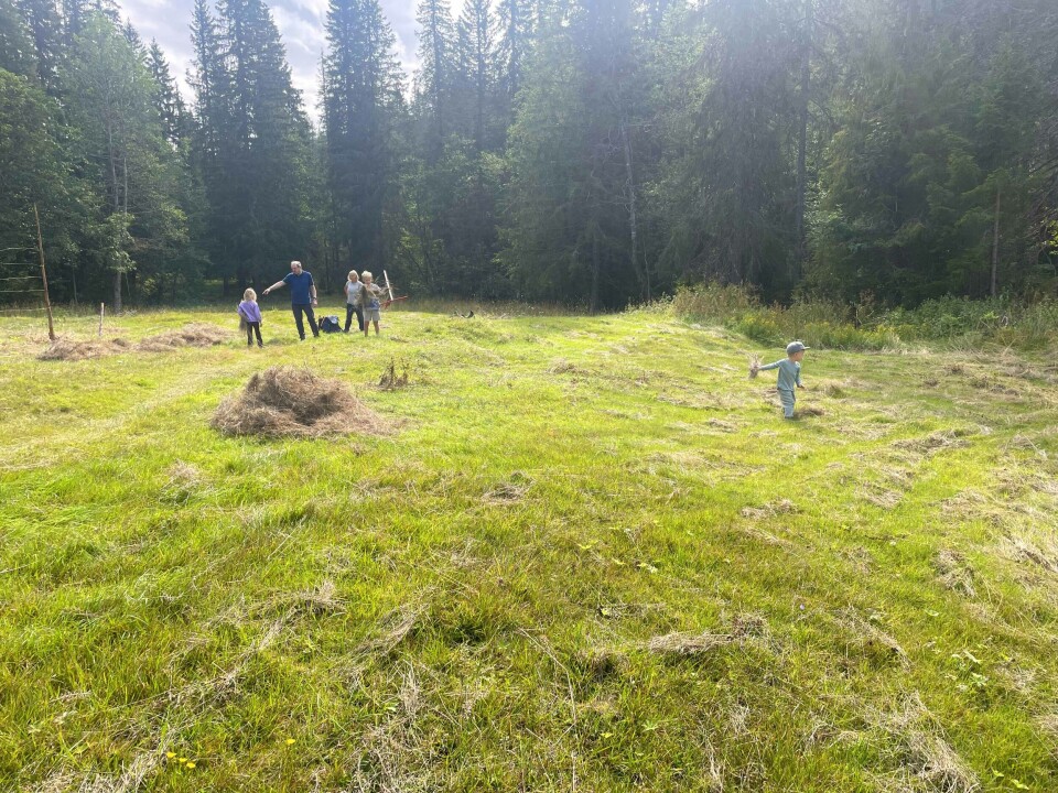 Myresetervollen er en gammel slåtteeng som ligger inne i skogen, en halvtimes lett gange fra Landfalltjern.