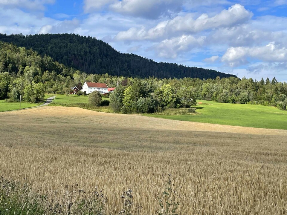 Gården Ødeskau ligger vakkert til ved foten av Vestskauen.