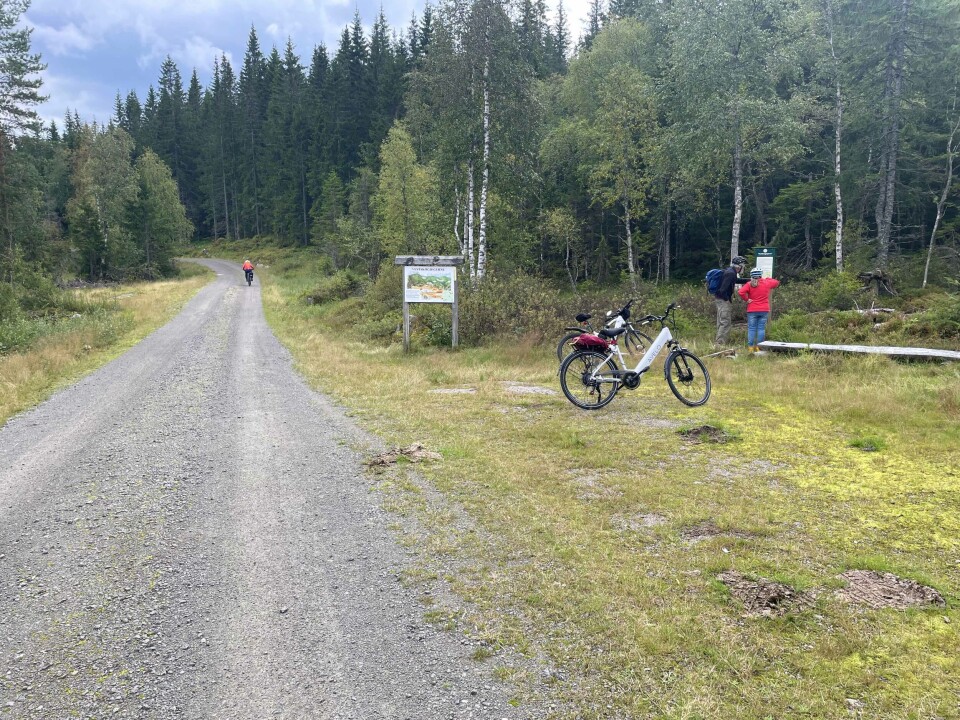Informasjonstavle og minnestein over Vestskogjegerne under 2. verdenskrig står ved Lauvkollmyra, omtrent på kommunegrensa mellom Holmestrand og Drammen.