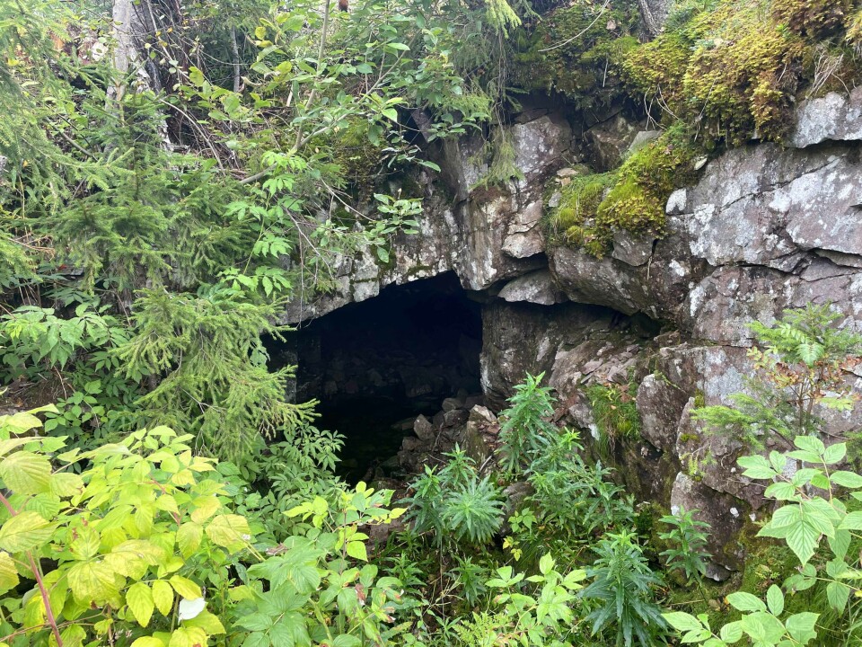 Løkmyrtunnelen på Vestskauen ble sprengt ut i 1917 for å få vannet over til Store Bergvann og reguleringen der i forbindelse med tømmerfløtningen i Gryta.