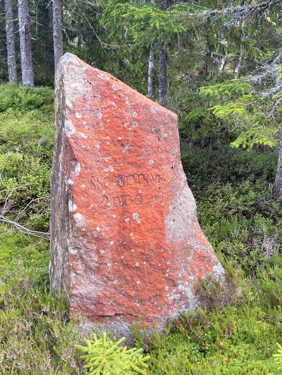 Som teksten på steinen forteller, Skogseterveien ble bygd for 24 år siden på Vestskauen.