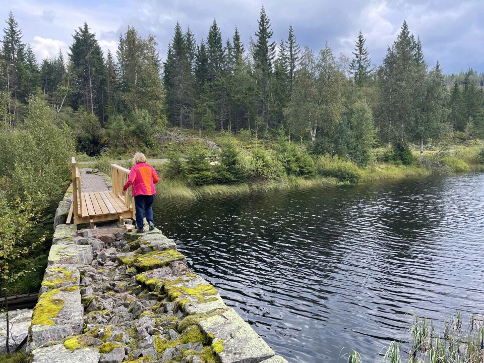 Muren på Løkmyrdammen er ett av flere kulturminner på Vestskauen.