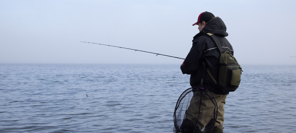NJFF: - Miljødirektoratet svikter fiskerne