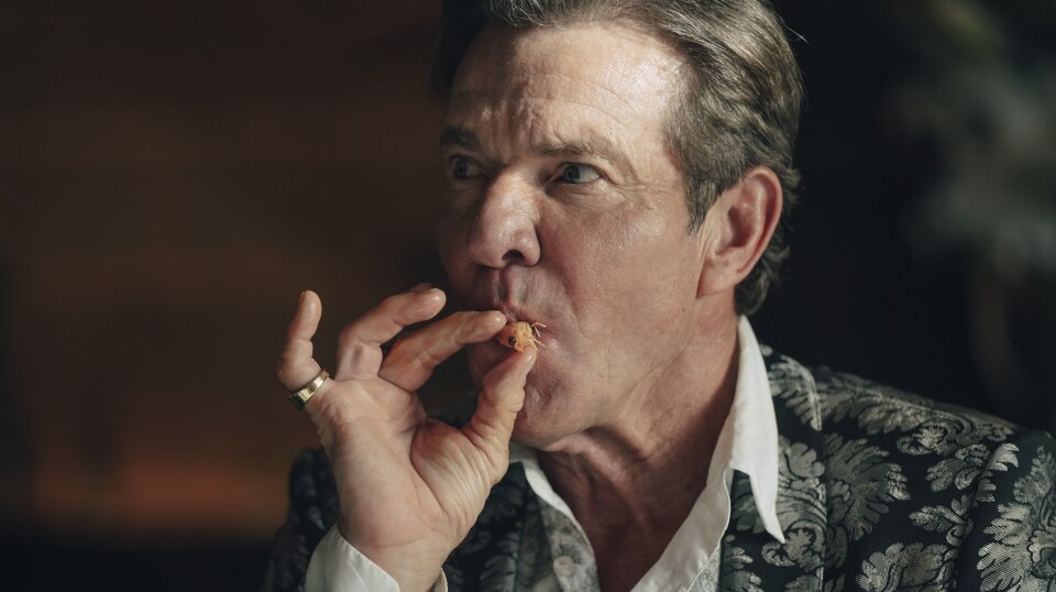 Dennis Quaid steppet inn i rollen som den kyniske tv-sjefen Harvey, etter at den opprinnelig skuespillers Ray Liottas gikk bort før filmingen startet