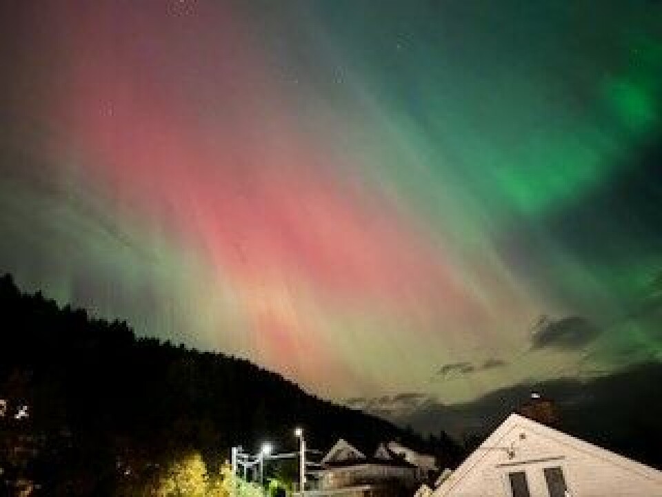 Ekstrem-nordlys over Drammen