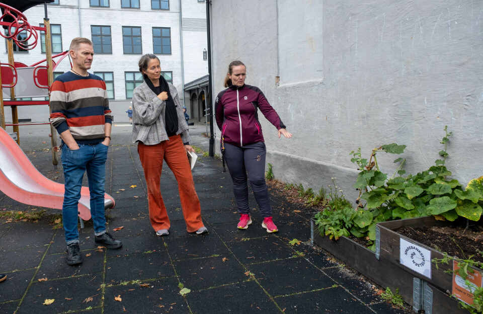 DET GROR: Henrik Skaug, Inger Grimm og Linda Omre utenfor Danvik skole.