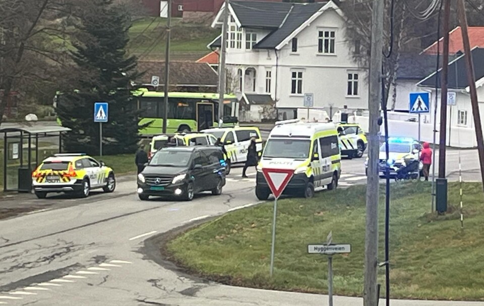 Mann med øks forårsaket stor politiaksjon