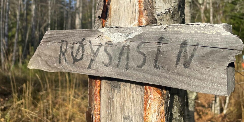På rett vei til Røysåsen (441 moh).