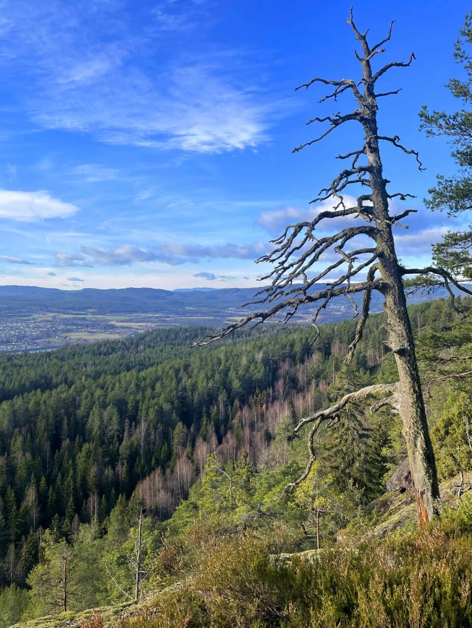 Kobberdokkfjellet ligger i grenseland mellom gamle Nedre Eiker og Øvre Eiker kommune, rundt 300 moh.