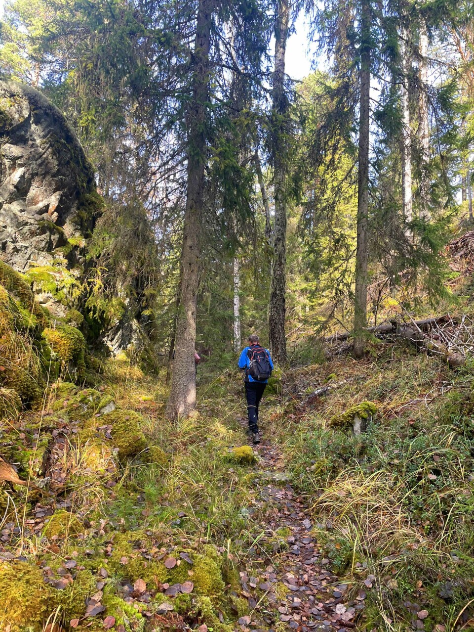 Spennende turterreng mellom Kobberdokkfjellet og Røysåsen 3542