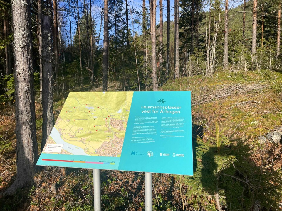 Vest for Årbogen ligger det rester eller flere gamle husmannsplasser.