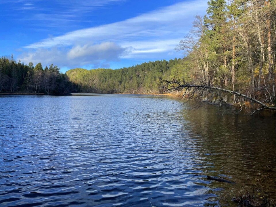 Ballatjern er et bortgjemt lite vann vest for Krokstadkollen.