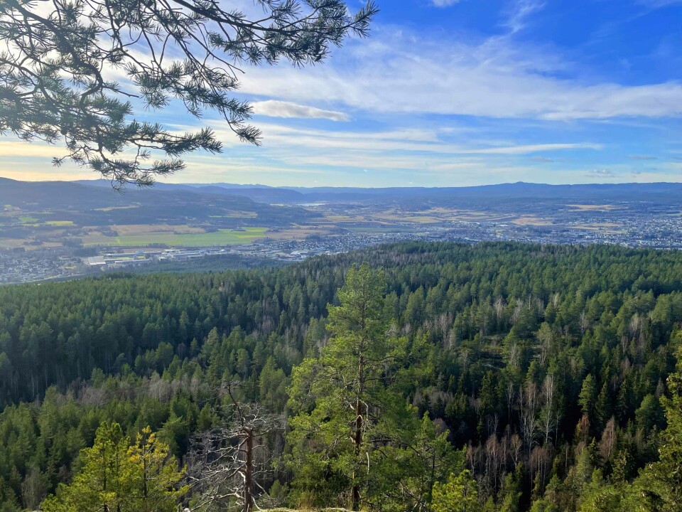 Fra Kobberdokkfjellet på Krokstadskauen har du praktfull utsikt i flere himmelretninger, her mot Skrimfjell og Knutefjell i Kongsberg.