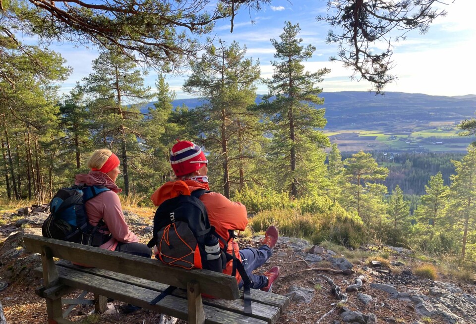 Ikke verst å sitte og slappe av i ettermiddagssola på denne benken på Krokstadkollen heller.