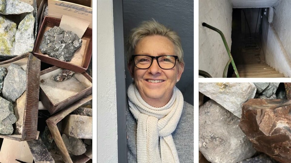 – Vi skjønte fort at dette var spesielt og kontaktet Naturhistorisk museum i Oslo, sier lærer Ellen Lindquist ved Drammen videregående skole.
Buskerud fylkeskommune