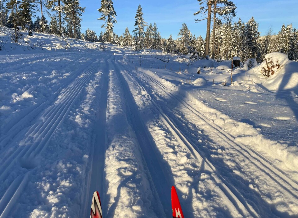 Herlig vinter i marka - slik er løype-status