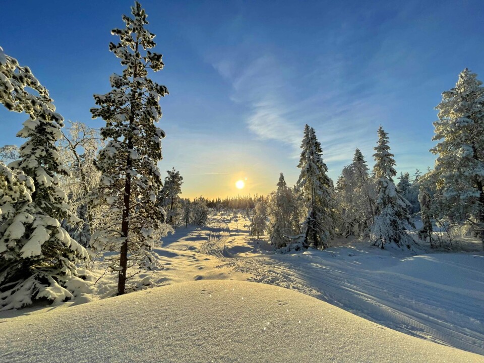 Herlig vinter i marka - slik er løype-status