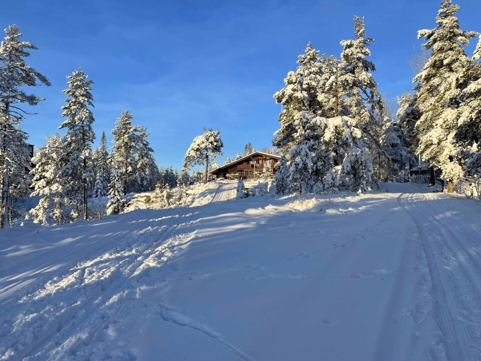 Herlig vinter i marka - slik er løype-status
