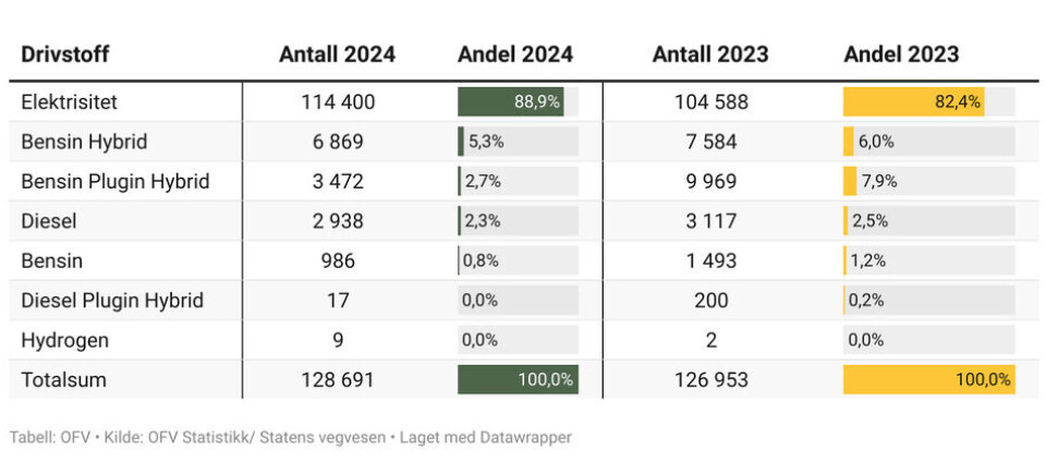 Fordeling per drivstoff i 2024 og 2023
