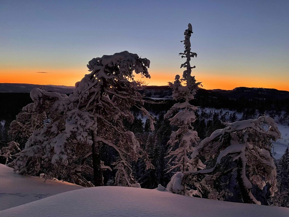 Fra Tverråsen i Drammensmarka mot Nerdammen, Tretjernsåsen og Kleiveren i bakgrunnen.