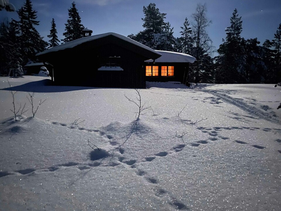 Måneskinn over Skimtheia i Drammensmarka.