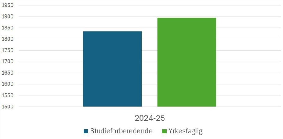 Figuren viser antall elever vg1, utdanningsprogram Buskerud 2024-25