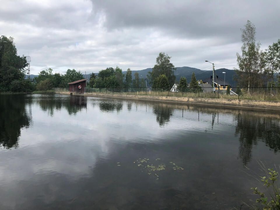 Dammen skal forsterkes på vannsiden og det skal etableres et nytt overløp. For å gjøre det, må dammen tappes ned og vil være tom for vann fra midten av juni til desember 2025. Ønsker du å vite mer om arbeidene, blir det et informasjonsmøte på Åsen skole 20. mars.